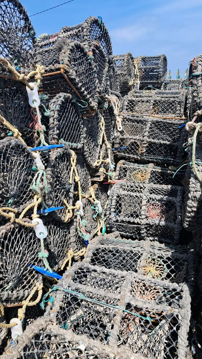 Crab/ lobster pots - Image 1