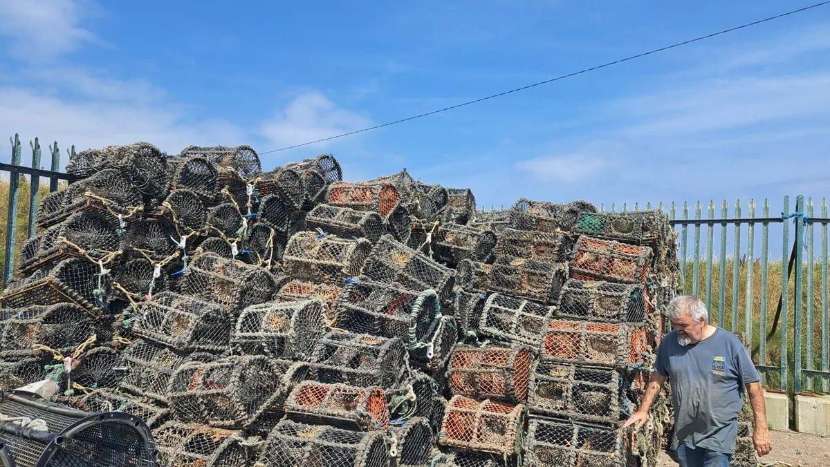 Crab/ lobster pots - Image 2