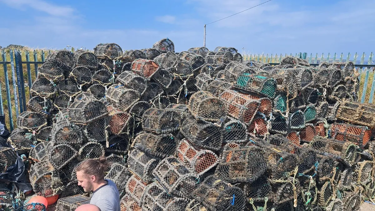 Crab/ lobster pots - Image 3