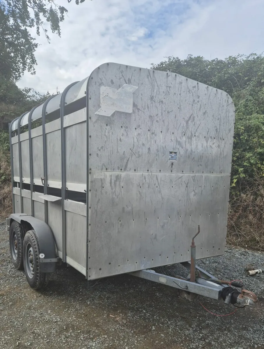 Ifor Williams 10 x 6 cattle  trailer - Image 1