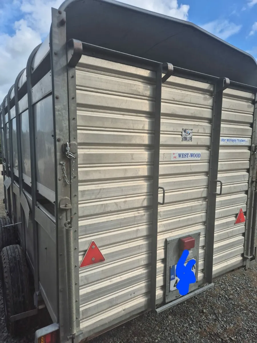 Ifor Williams 10 x 6 cattle  trailer - Image 4