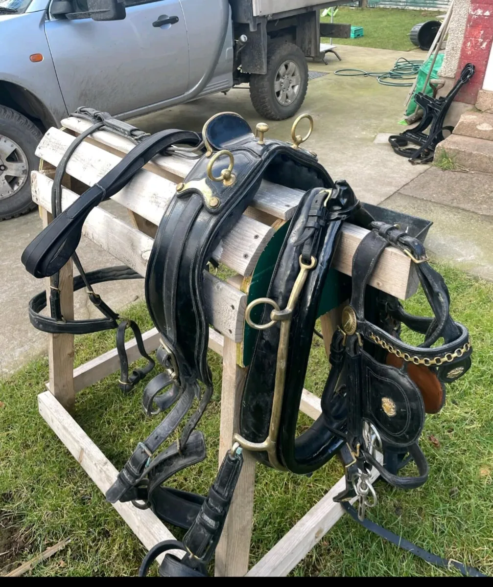 Huskisson J C & Son single harness - Image 1