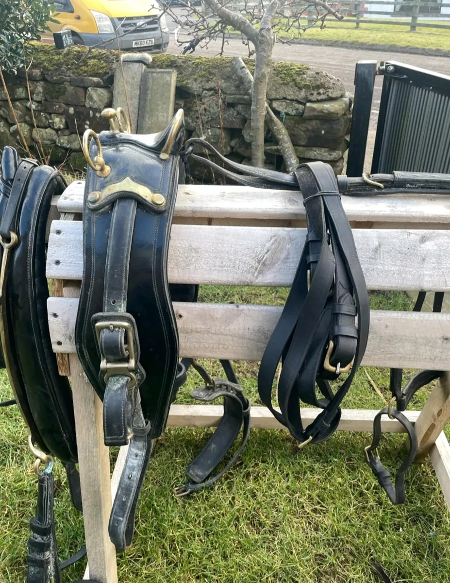 Huskisson J C & Son single harness - Image 2