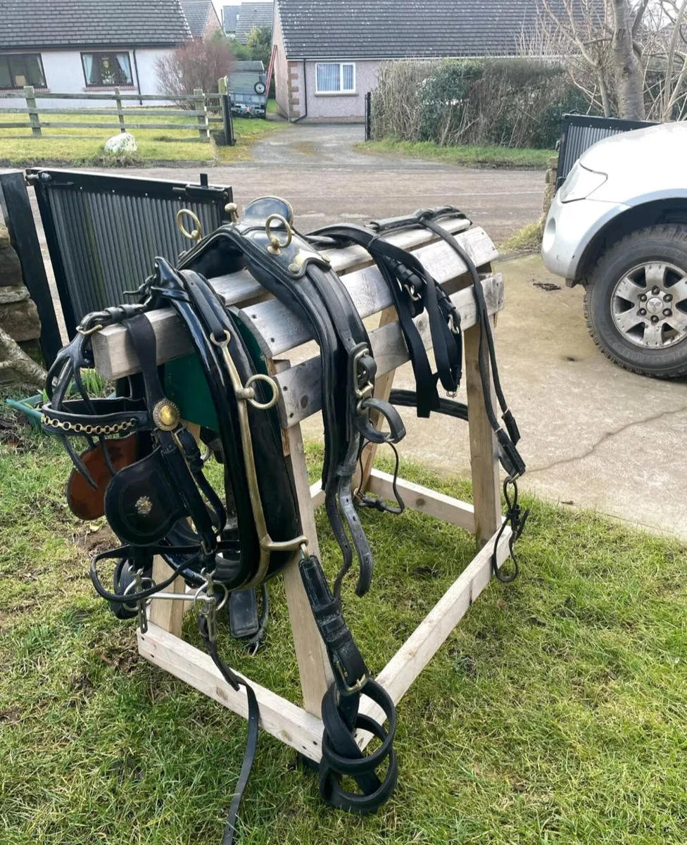 Huskisson J C & Son single harness - Image 3