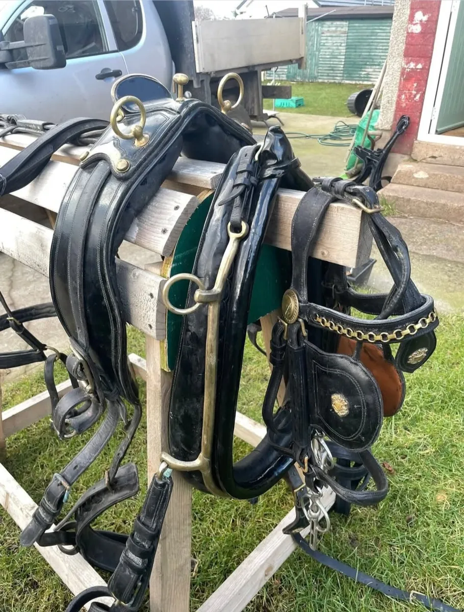 Huskisson J C & Son single harness - Image 4