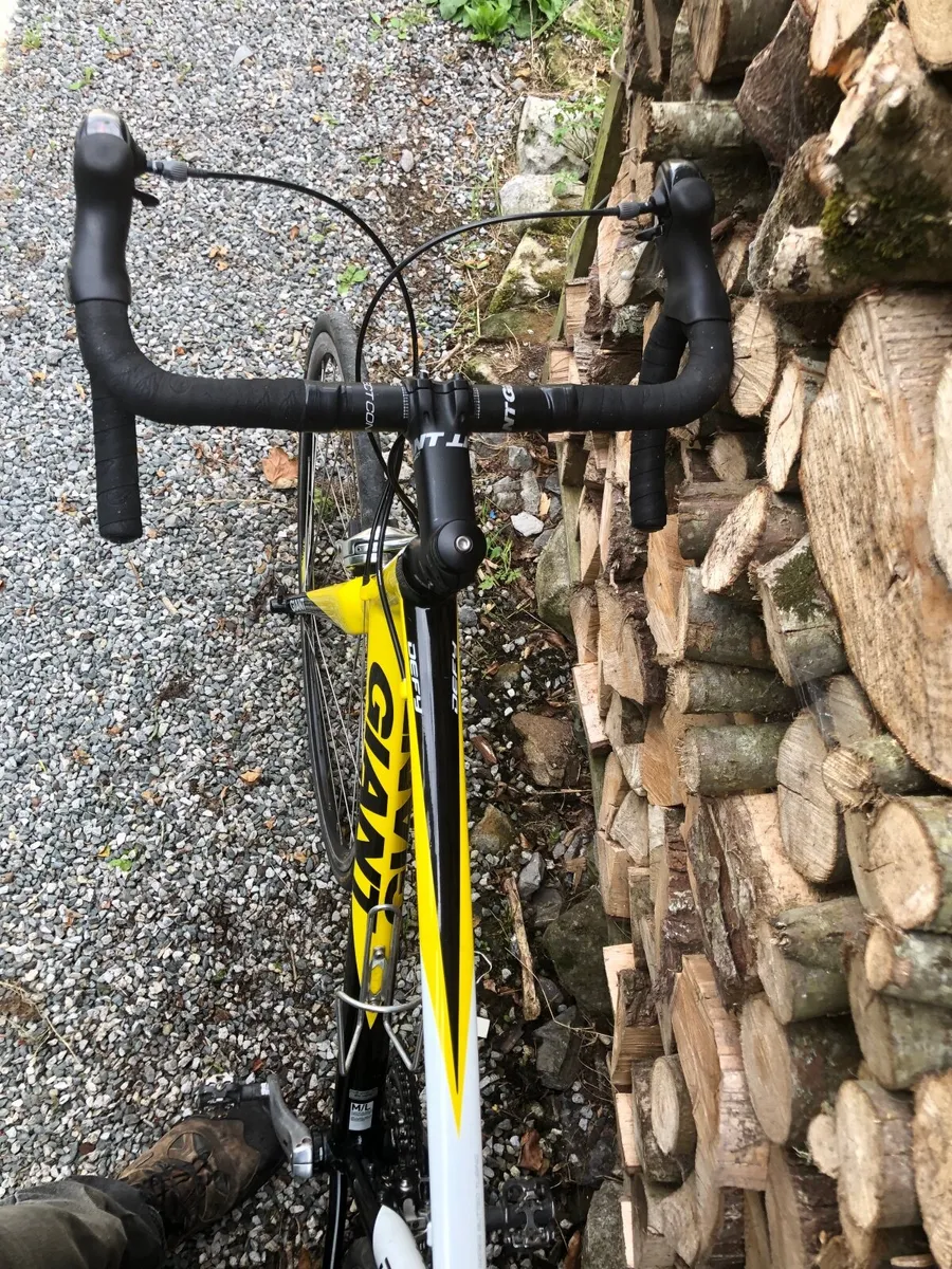 Giant Defy - Image 4