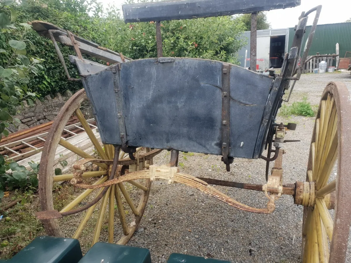 Horse Cart - Image 3