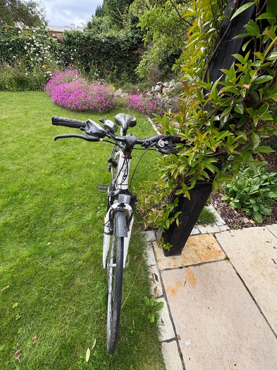 Kellys women's bike - Image 2