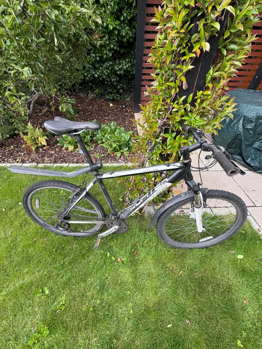 Jupiter mountain/hybrid bike - Image 1