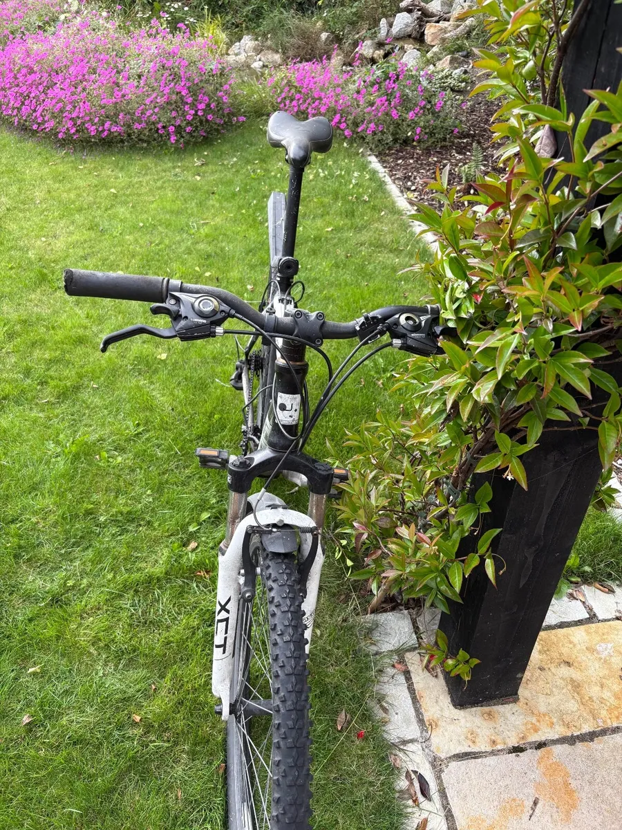 Jupiter mountain/hybrid bike - Image 2