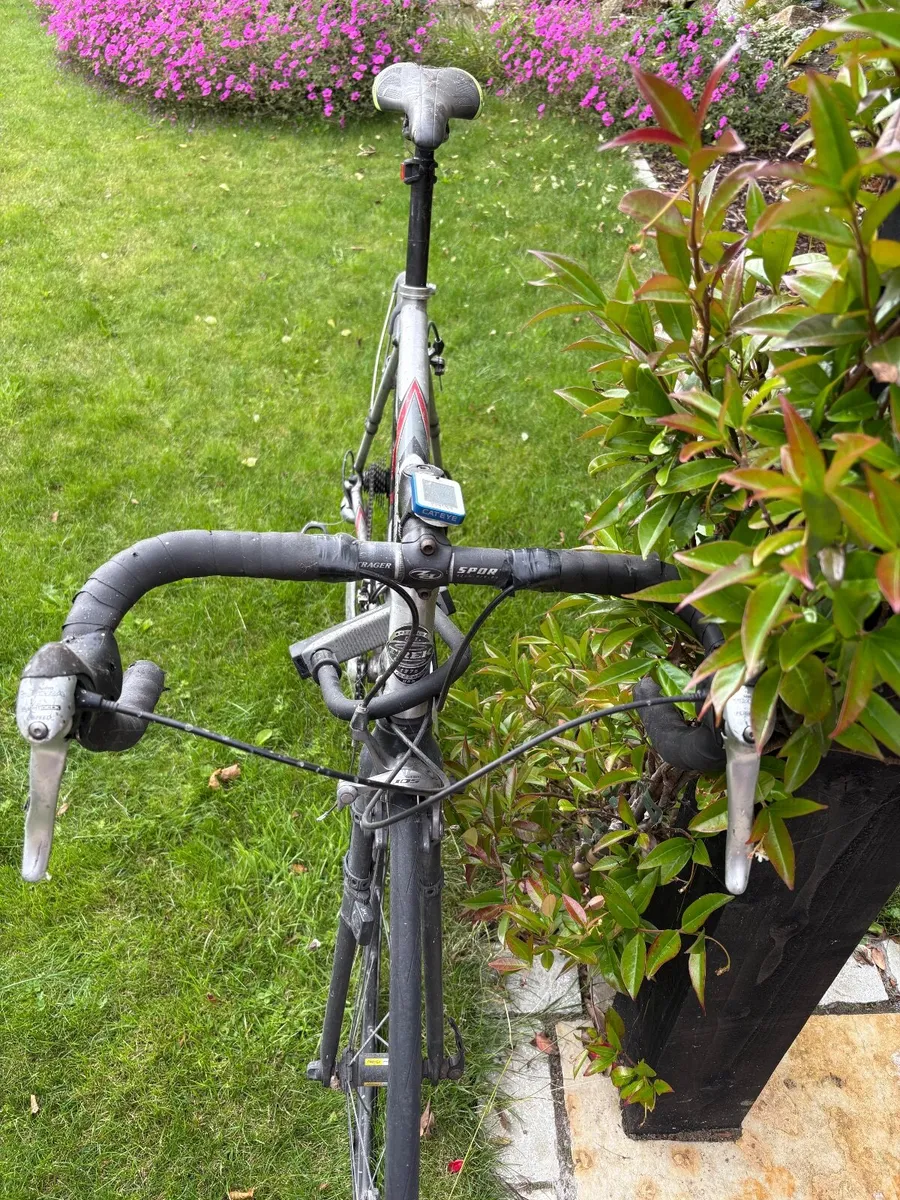 Trek road bike - Image 2