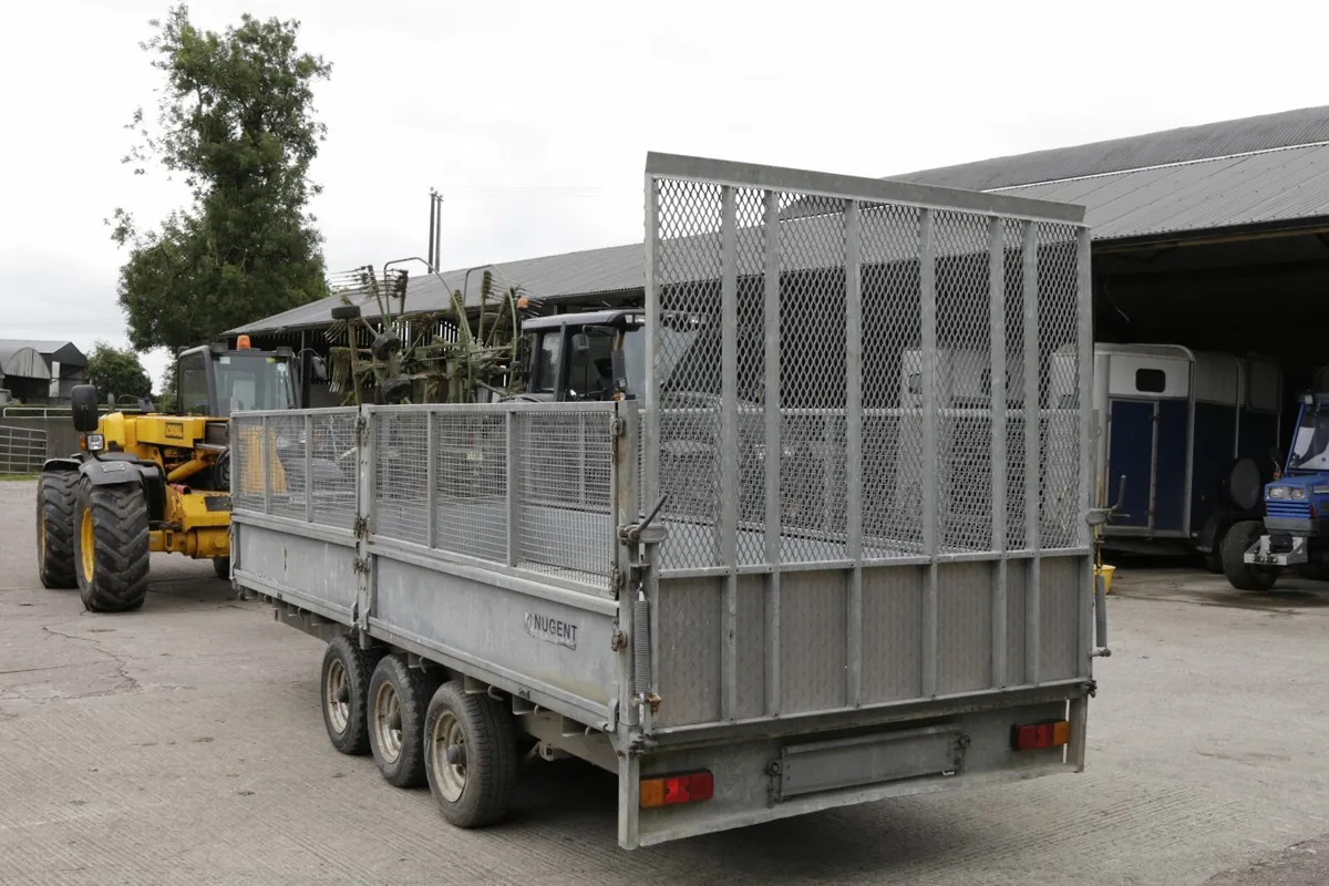 nugent 16 ft triaxle trailer - Image 3