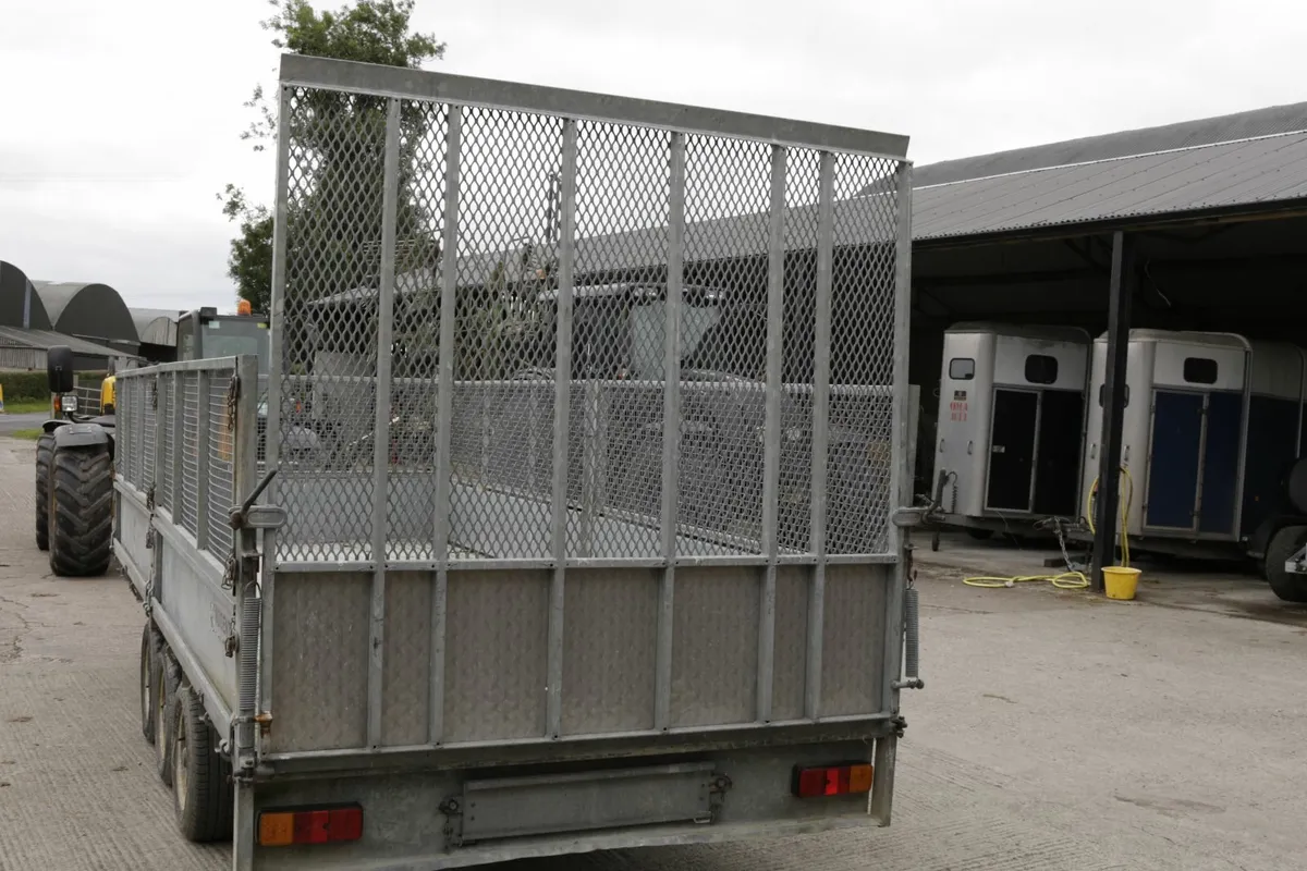 nugent 16 ft triaxle trailer - Image 4
