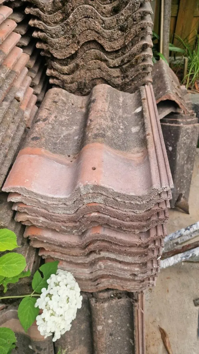 Roof Tiles - Image 1