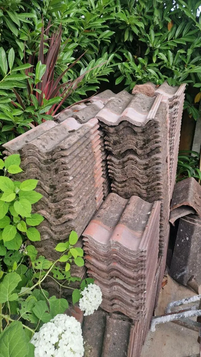 Roof Tiles - Image 2