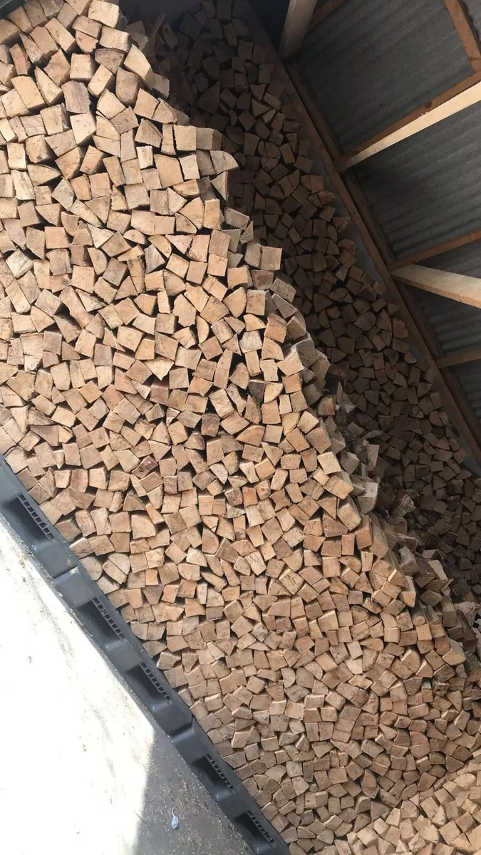 Firewood - Image 2