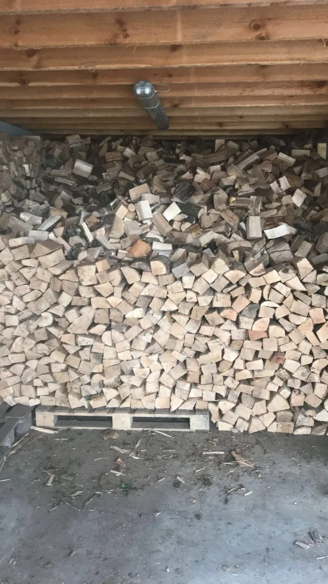 Firewood - Image 3
