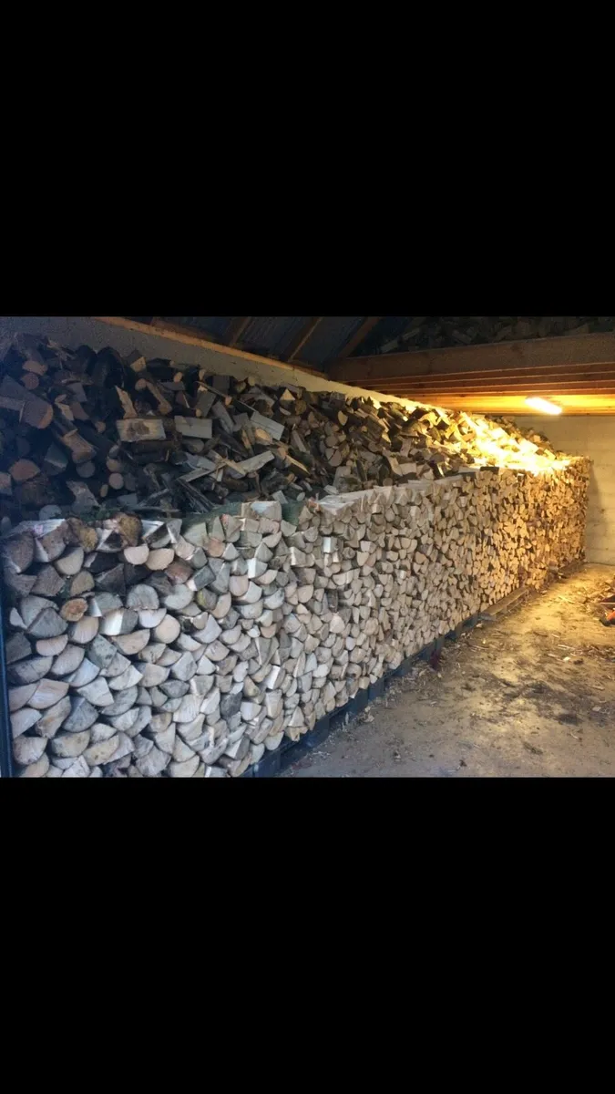 Firewood - Image 1