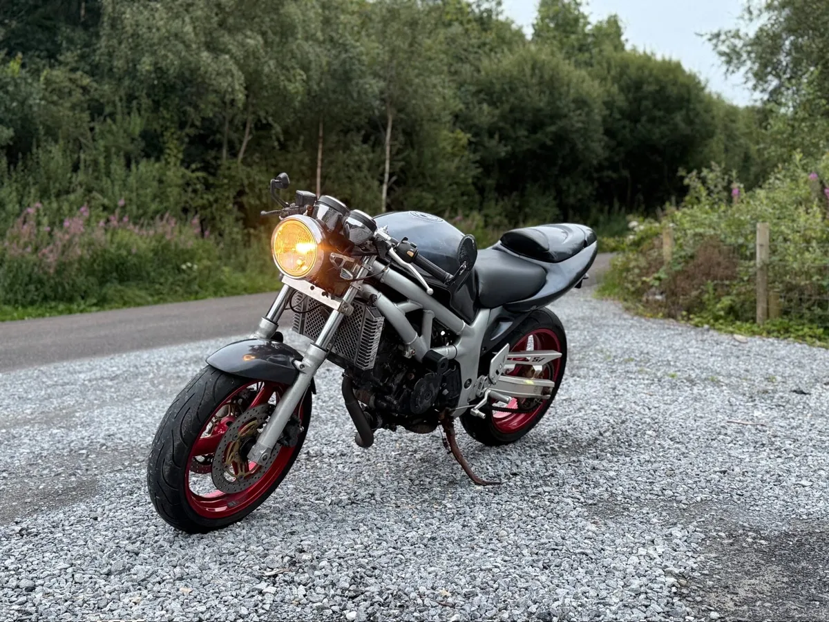 Suzuki sv 650 Delivery available - Image 3