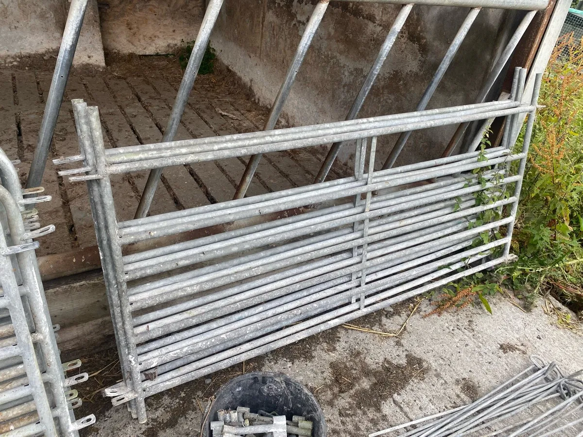 Sheep equipment - Image 3