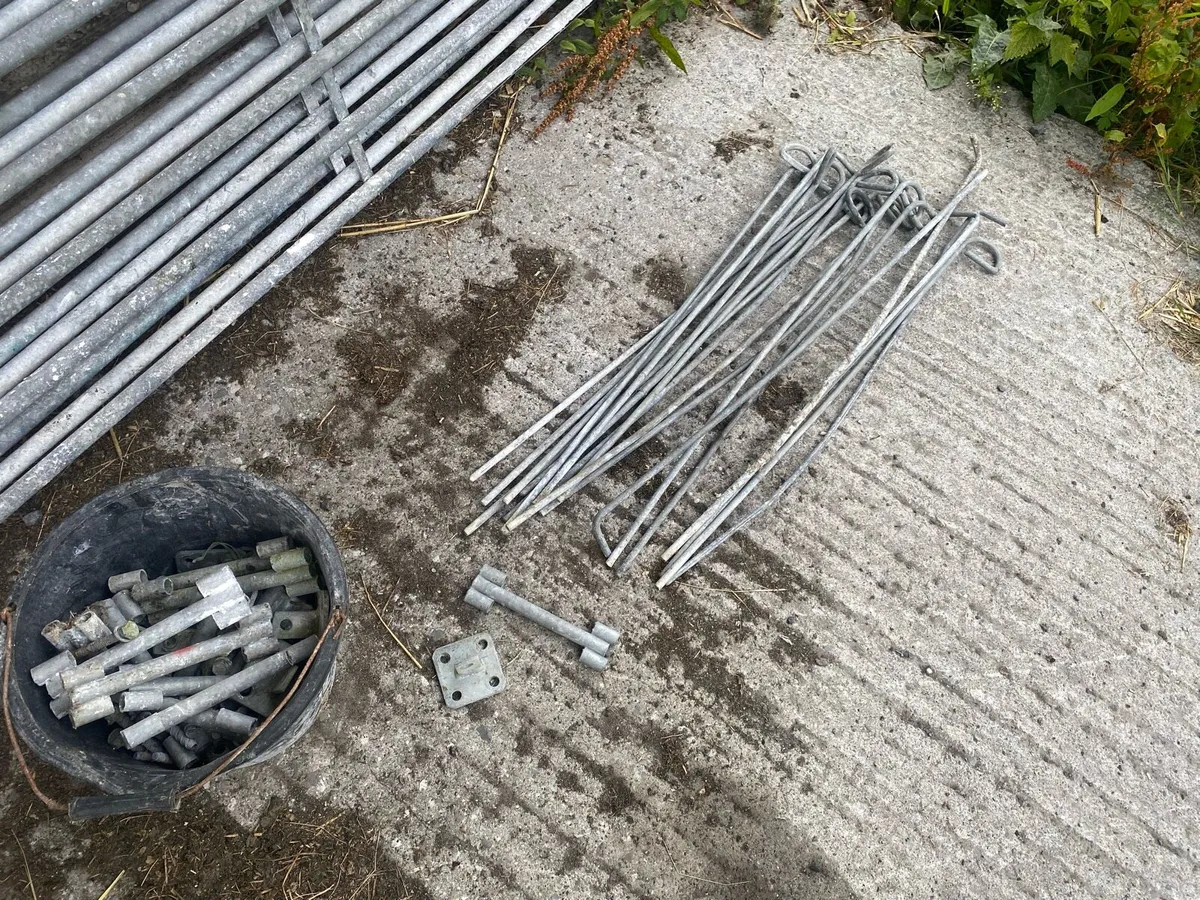 Sheep equipment - Image 4
