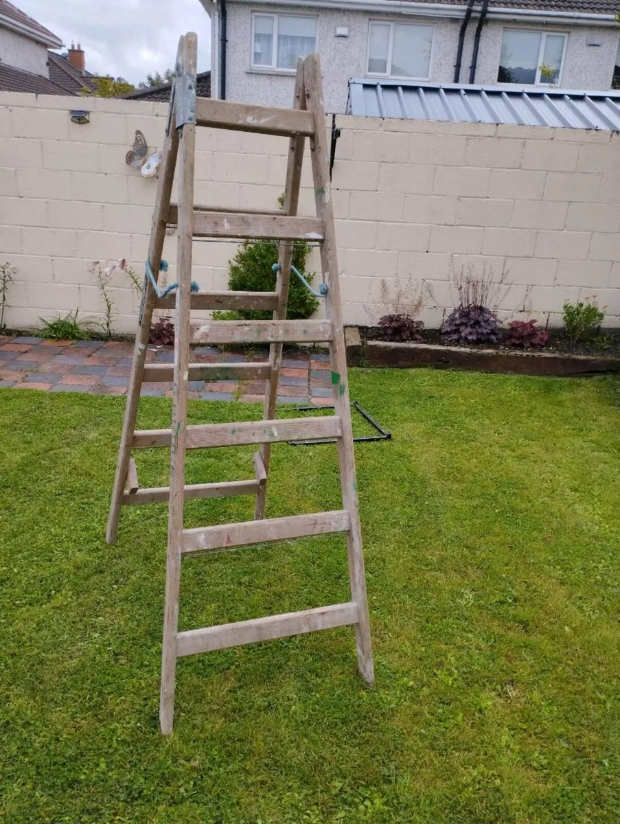 Ladder - Image 1
