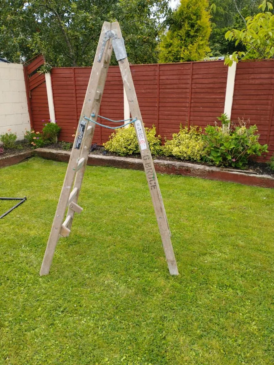 Ladder - Image 2