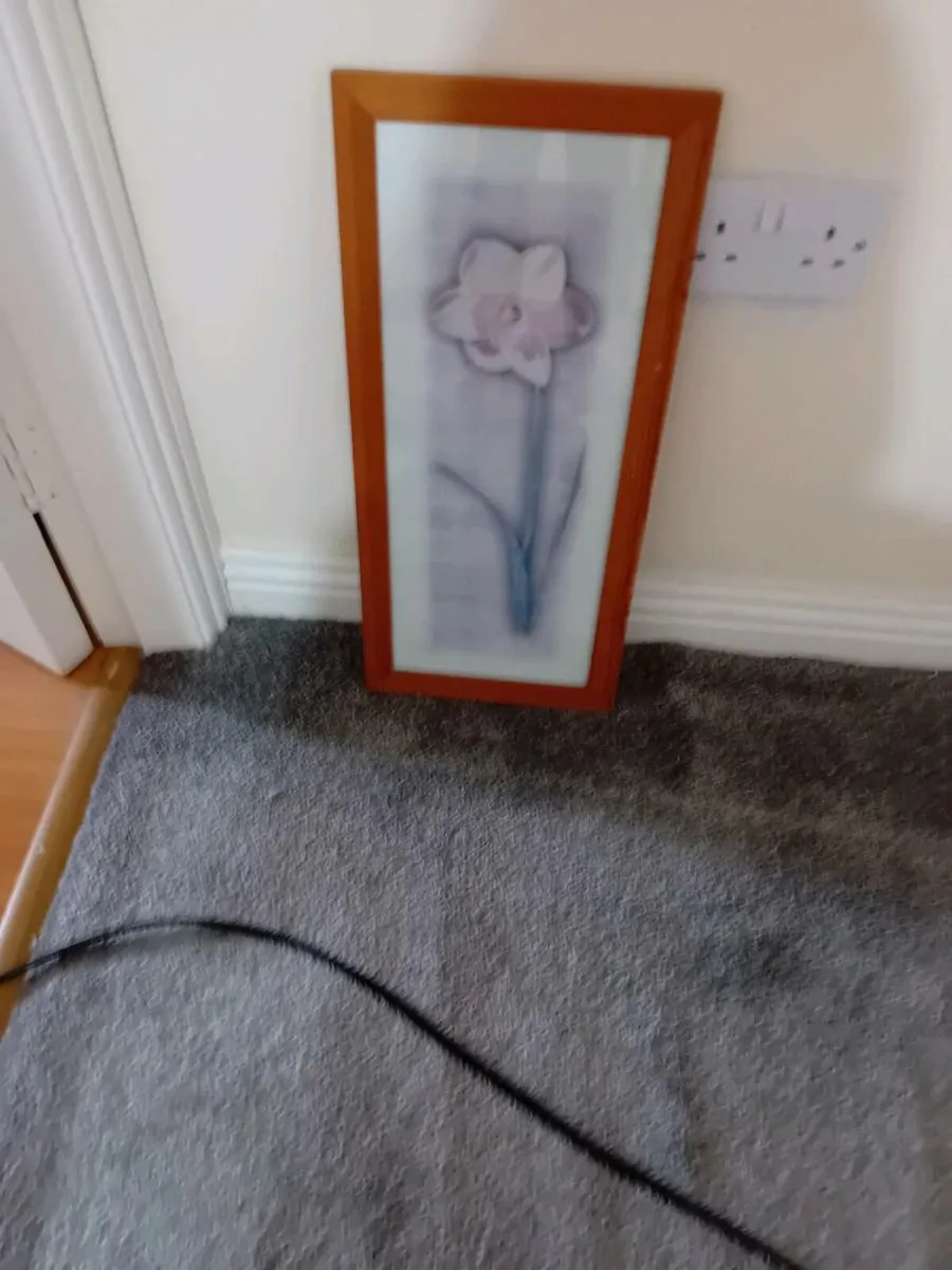 PICTURES BY 3 OF THEM - Image 3