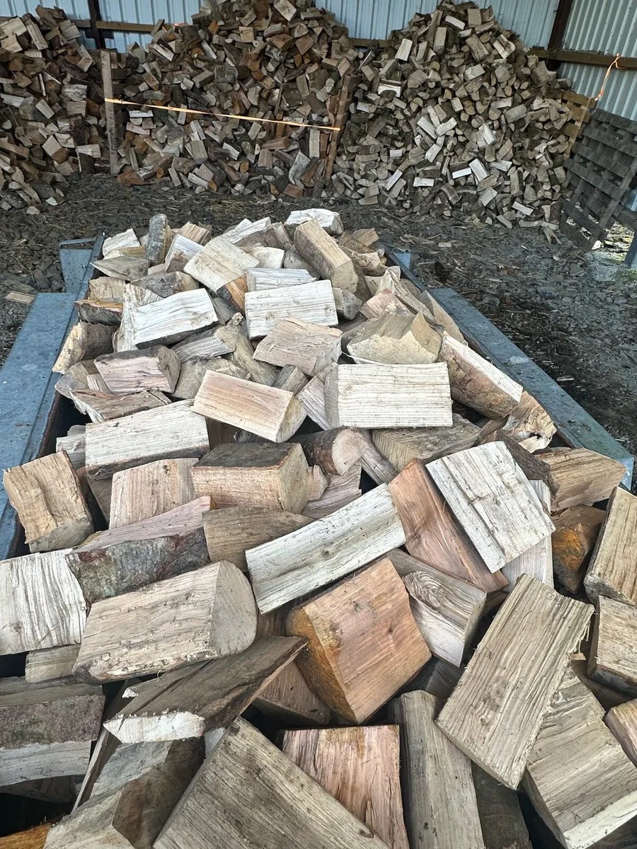 Firewood for sale - Image 4