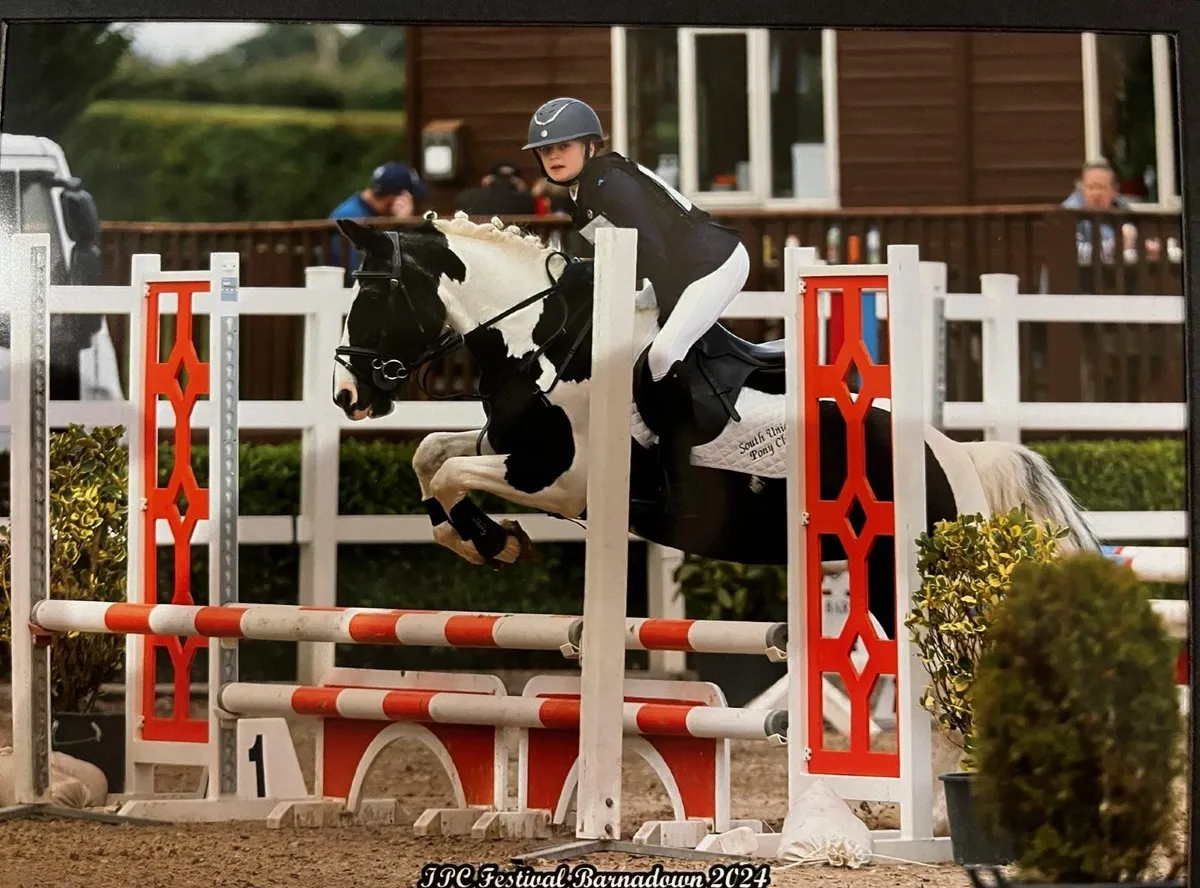 13.2hh Forward-Going Pony, Fun & Full of Character - Image 2