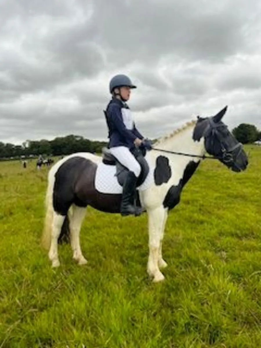 13.2hh Forward-Going Pony, Fun & Full of Character - Image 4