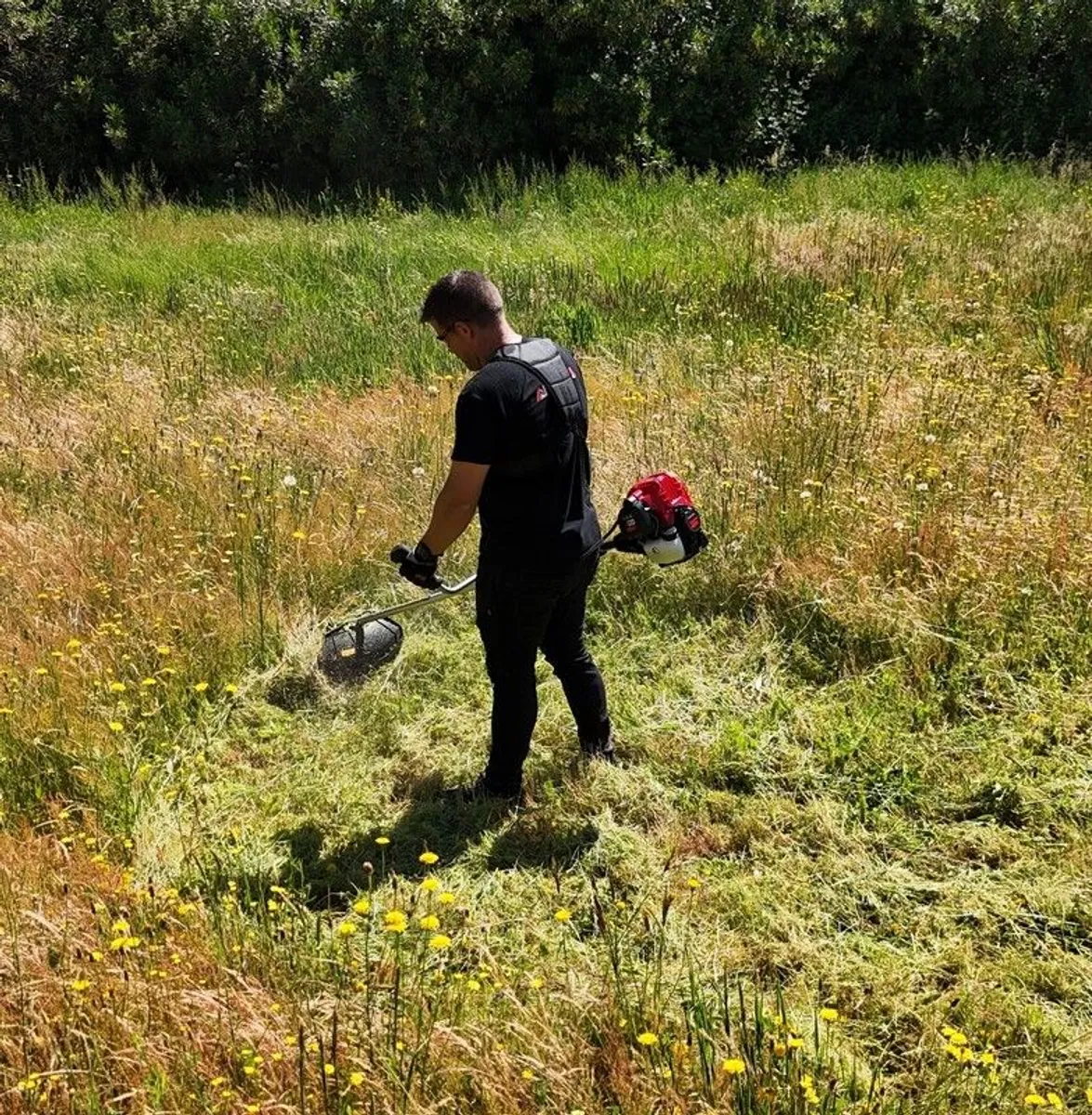 Brushcutter - Image 3