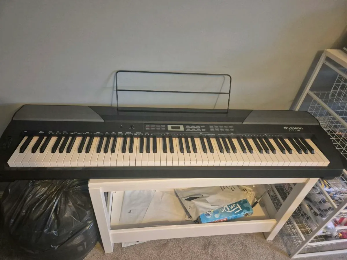 Piano/Keyboard - Image 2