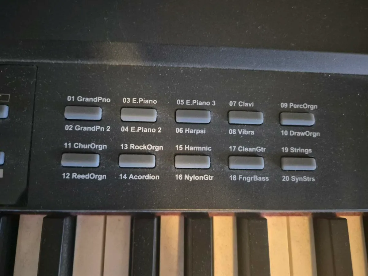 Piano/Keyboard - Image 3