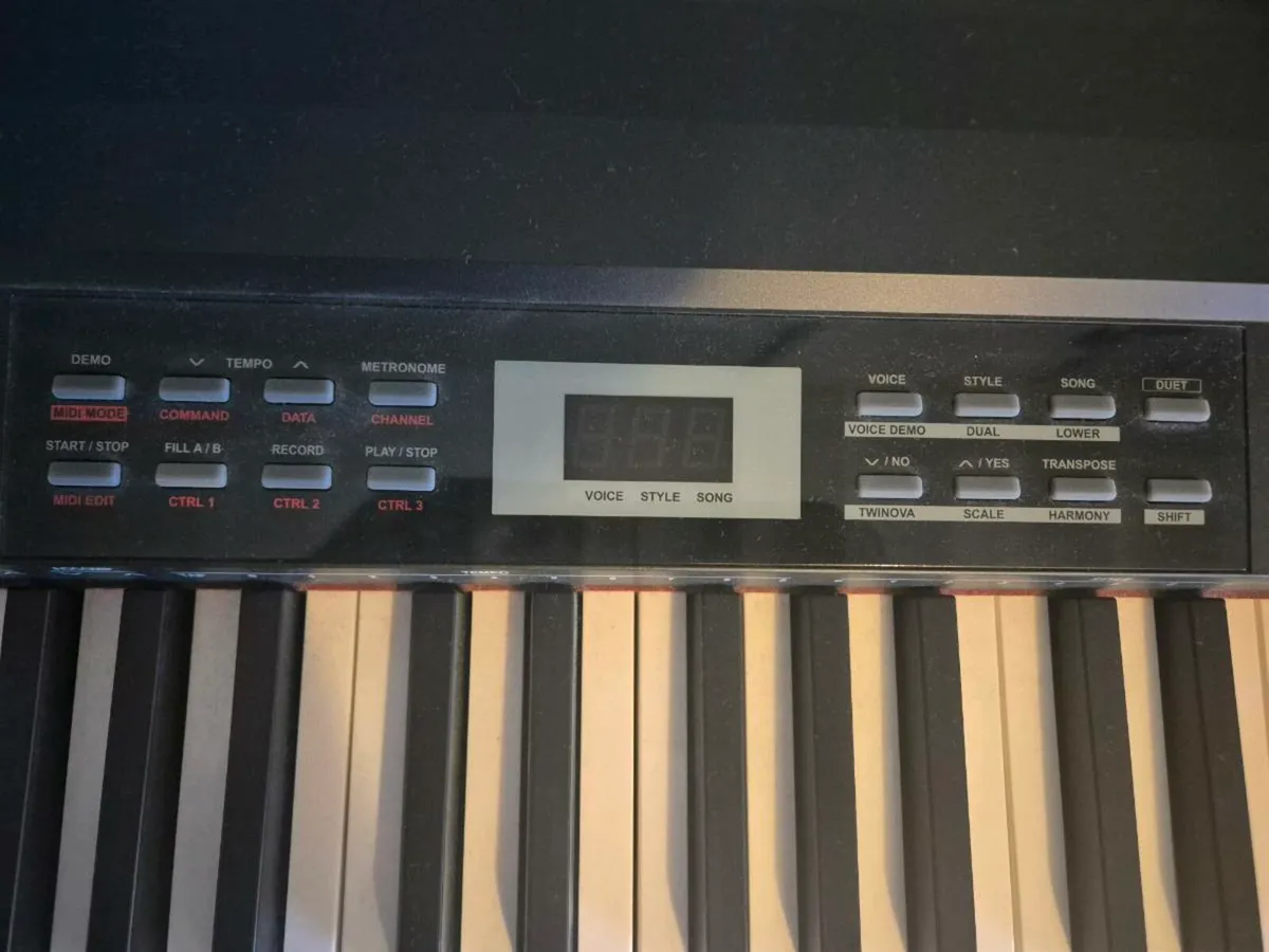 Piano/Keyboard - Image 4