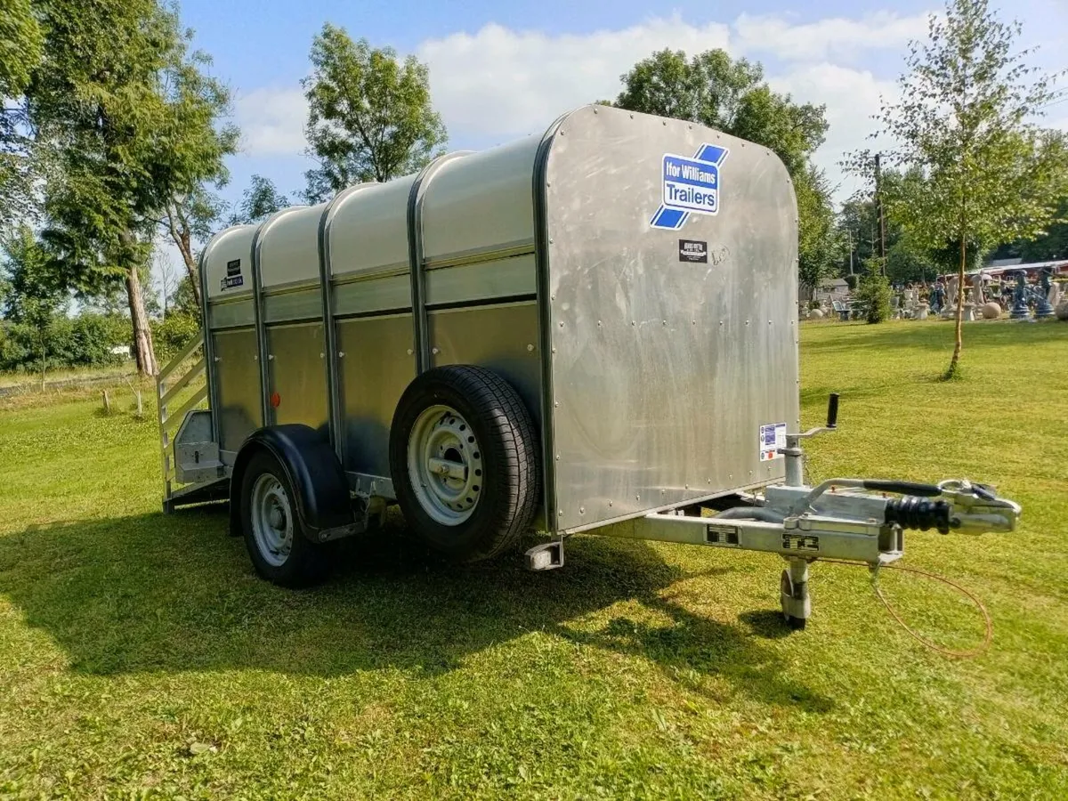 25" Ivor Williams livestock trailer 10x4 - Image 2