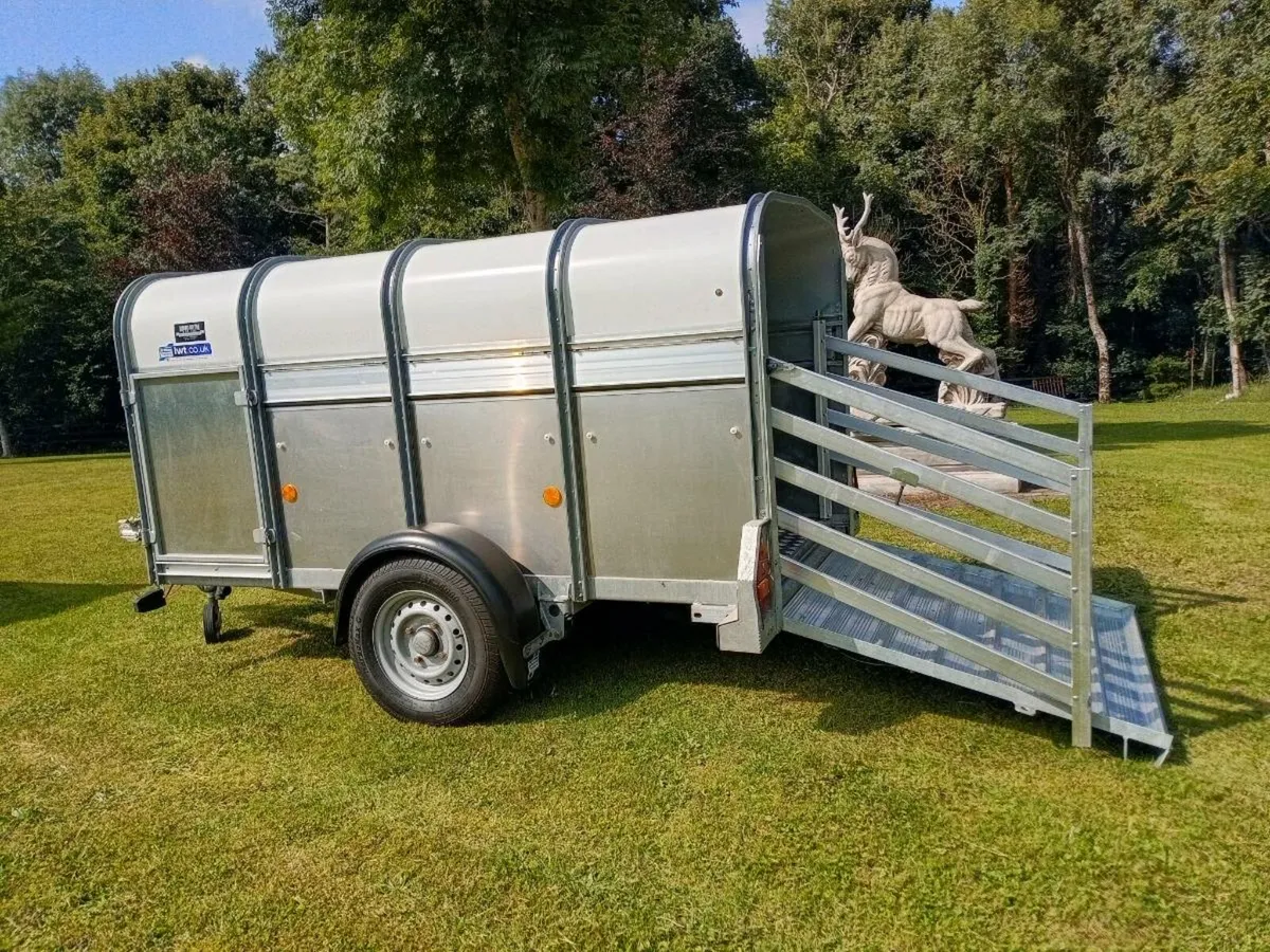 25" Ivor Williams livestock trailer 10x4 - Image 3