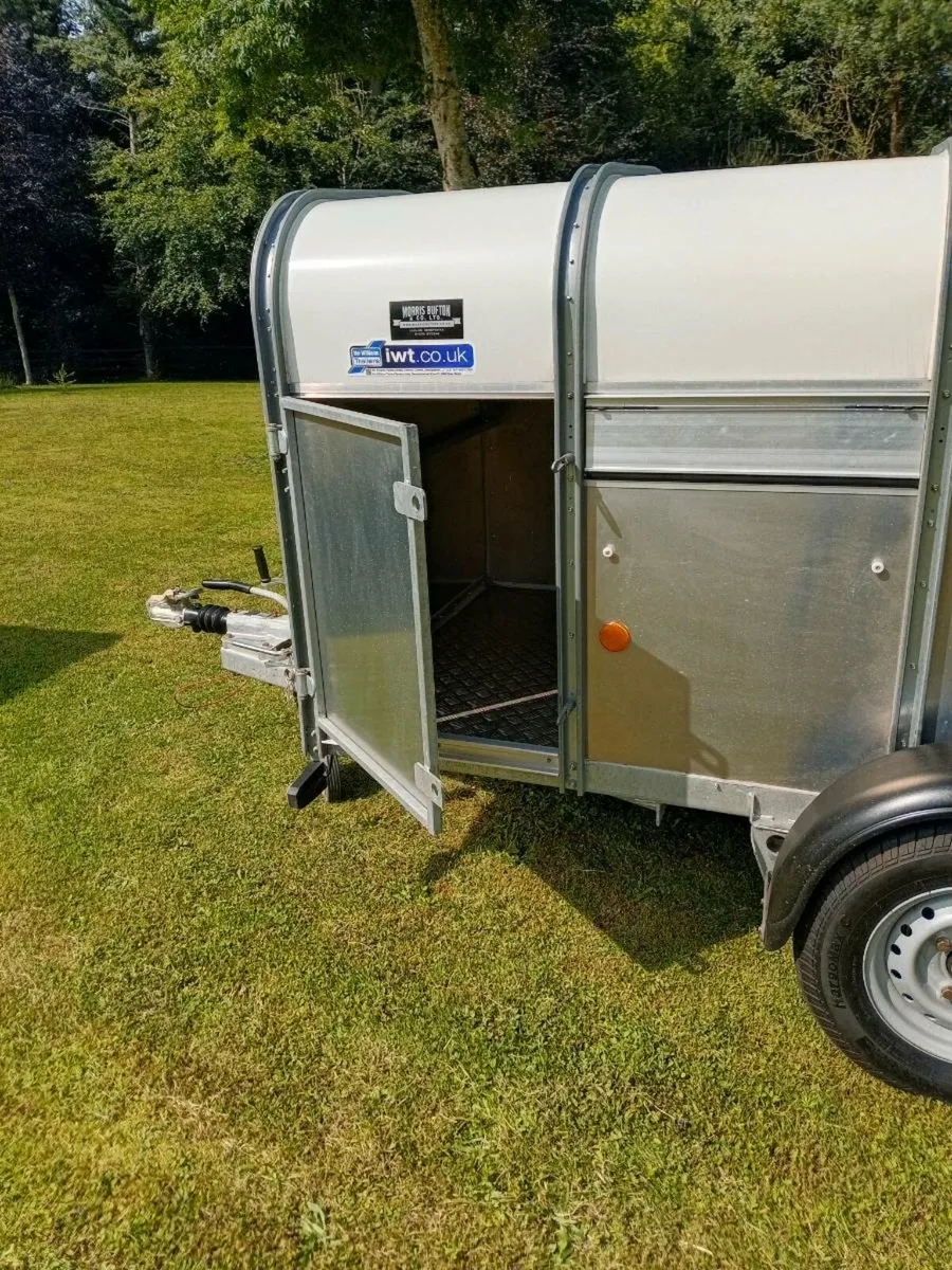 25" Ivor Williams livestock trailer 10x4 - Image 4