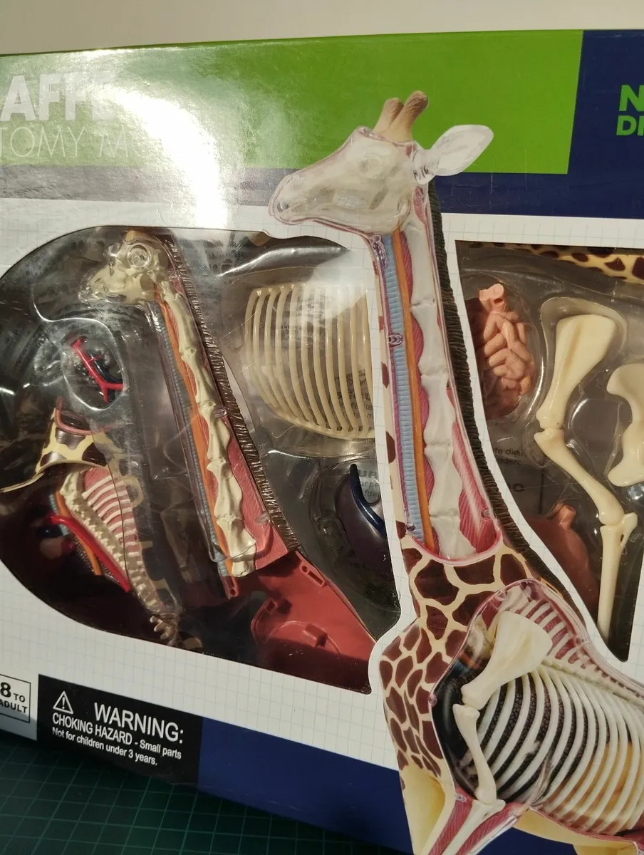Giraffe Anatomy Model by Thames & Kosmos - Image 1