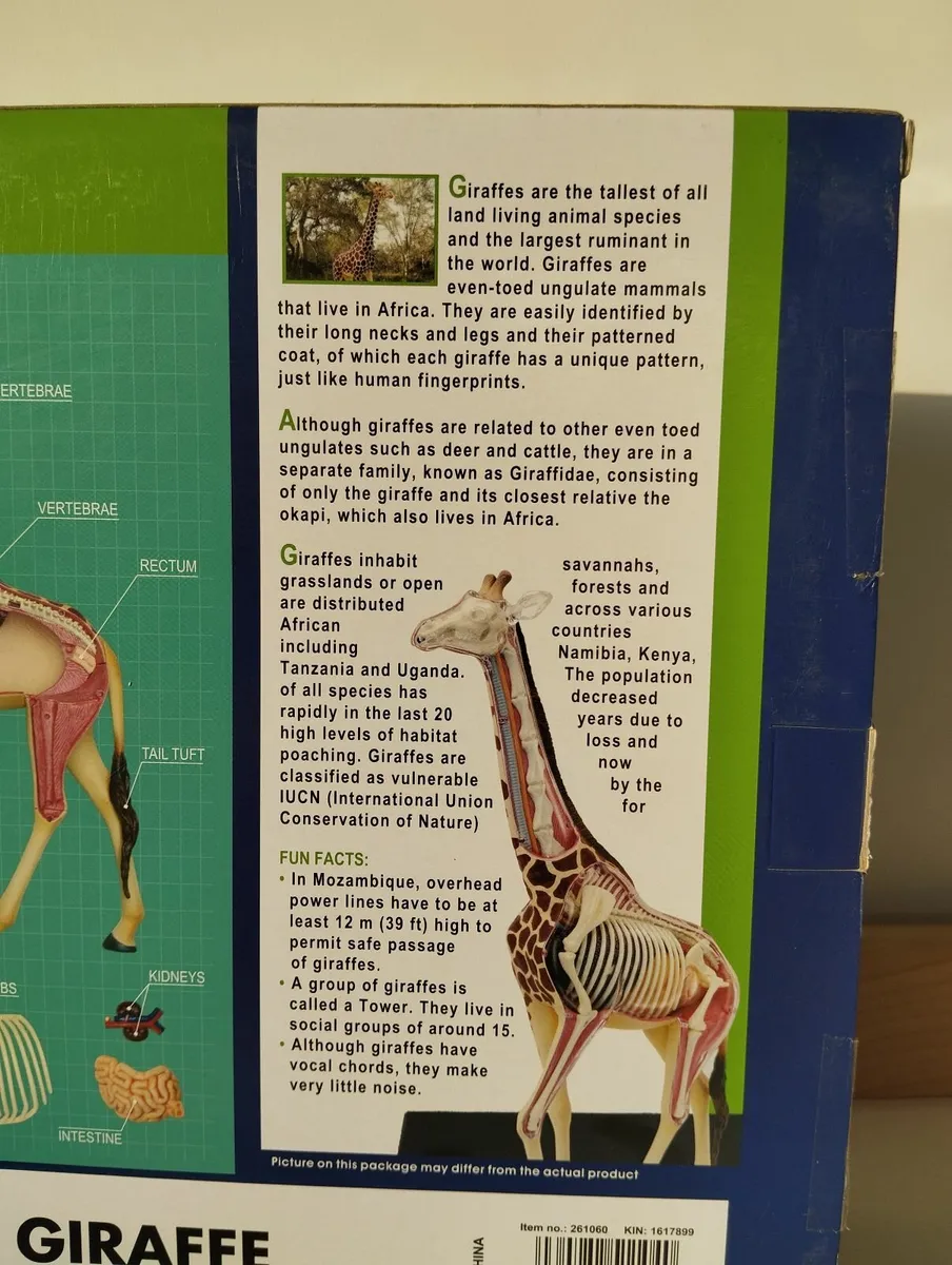 Giraffe Anatomy Model by Thames & Kosmos - Image 2