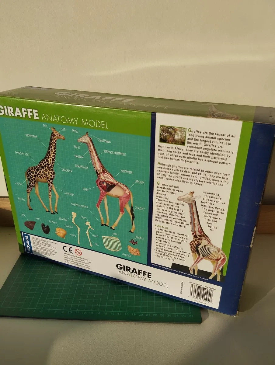 Giraffe Anatomy Model by Thames & Kosmos - Image 3