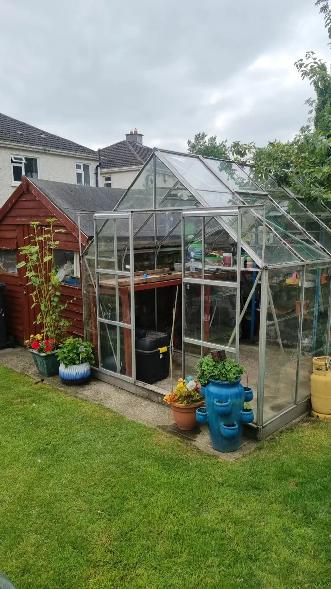 glasshouse for sale  8ft(W)  x 10ft(L) - Image 1