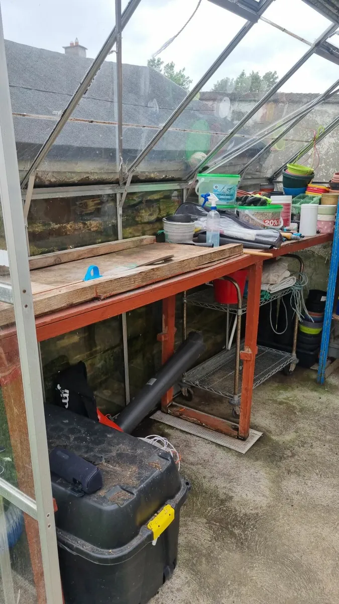 glasshouse for sale  8ft(W)  x 10ft(L) - Image 2