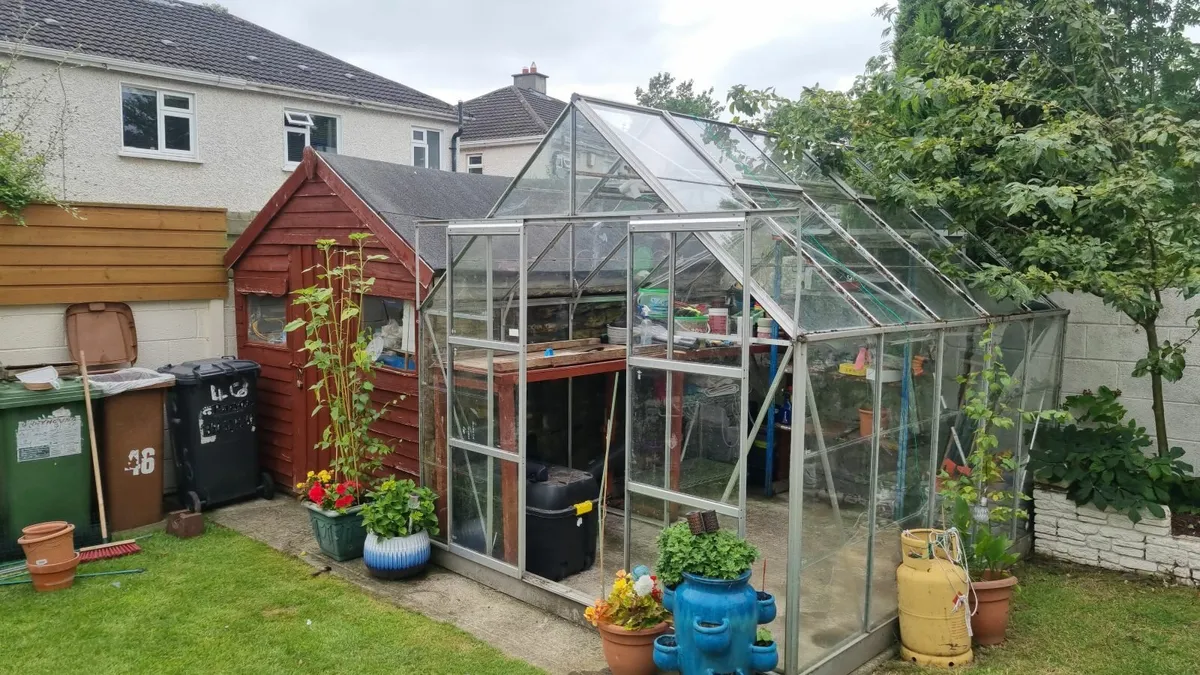glasshouse for sale  8ft(W)  x 10ft(L) - Image 3