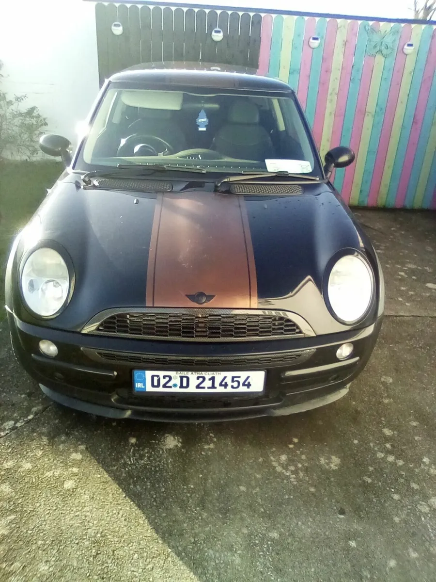 Cooper - Image 1
