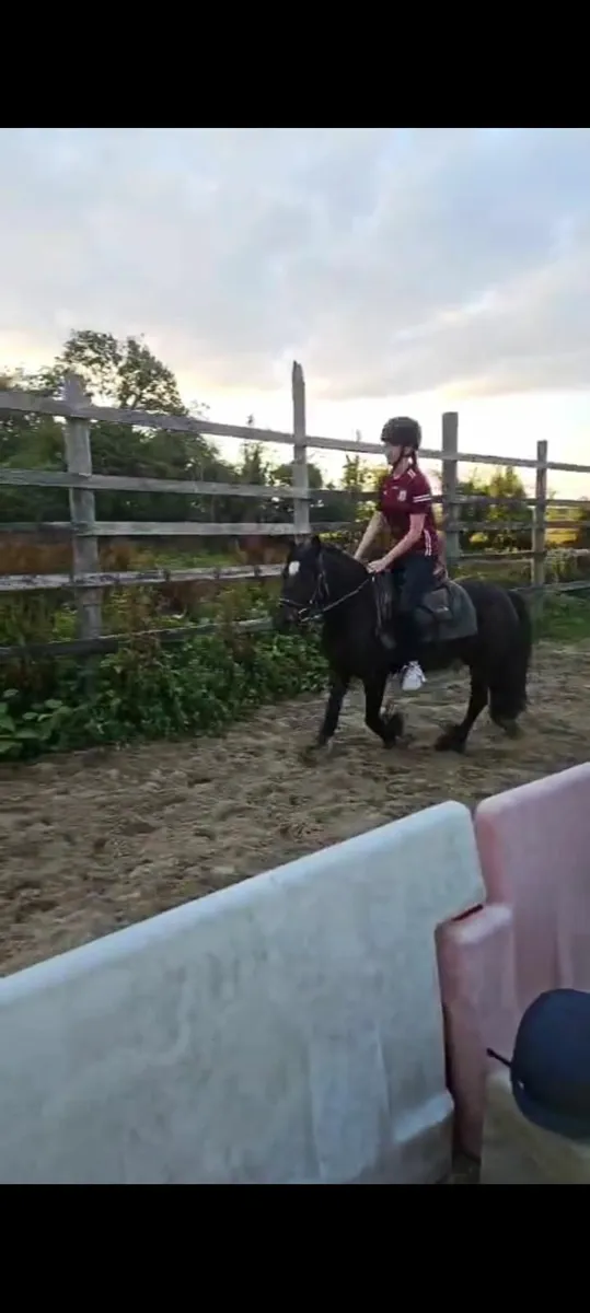 Super Kids Pony - Image 3