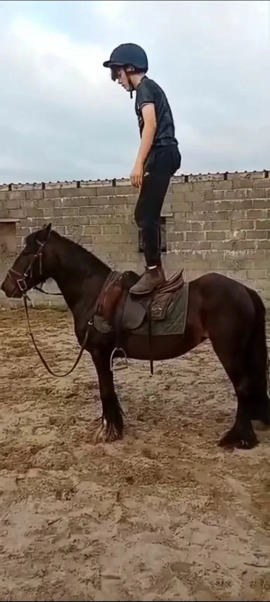 Super Kids Pony - Image 2
