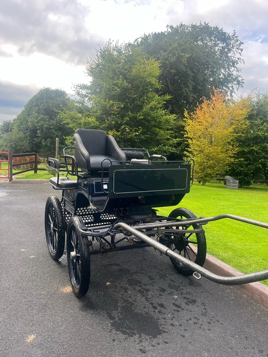 Horse Drawn Carriage - Image 1