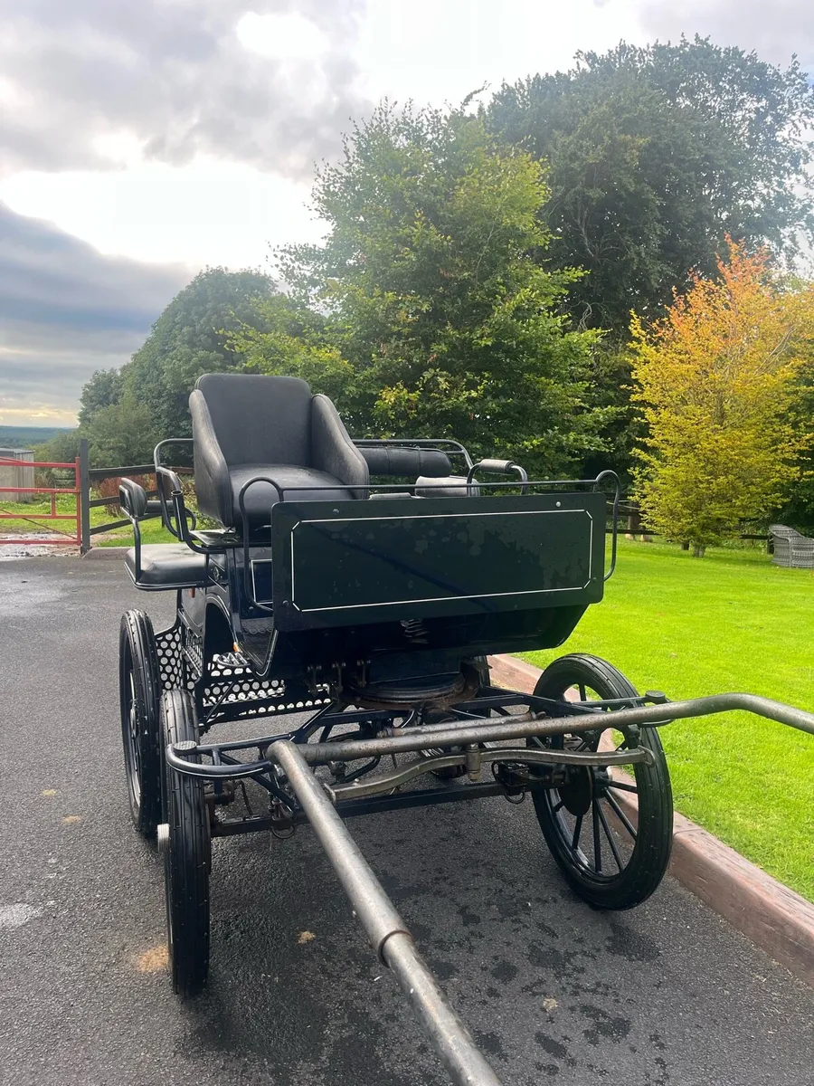 Horse Drawn Carriage - Image 2
