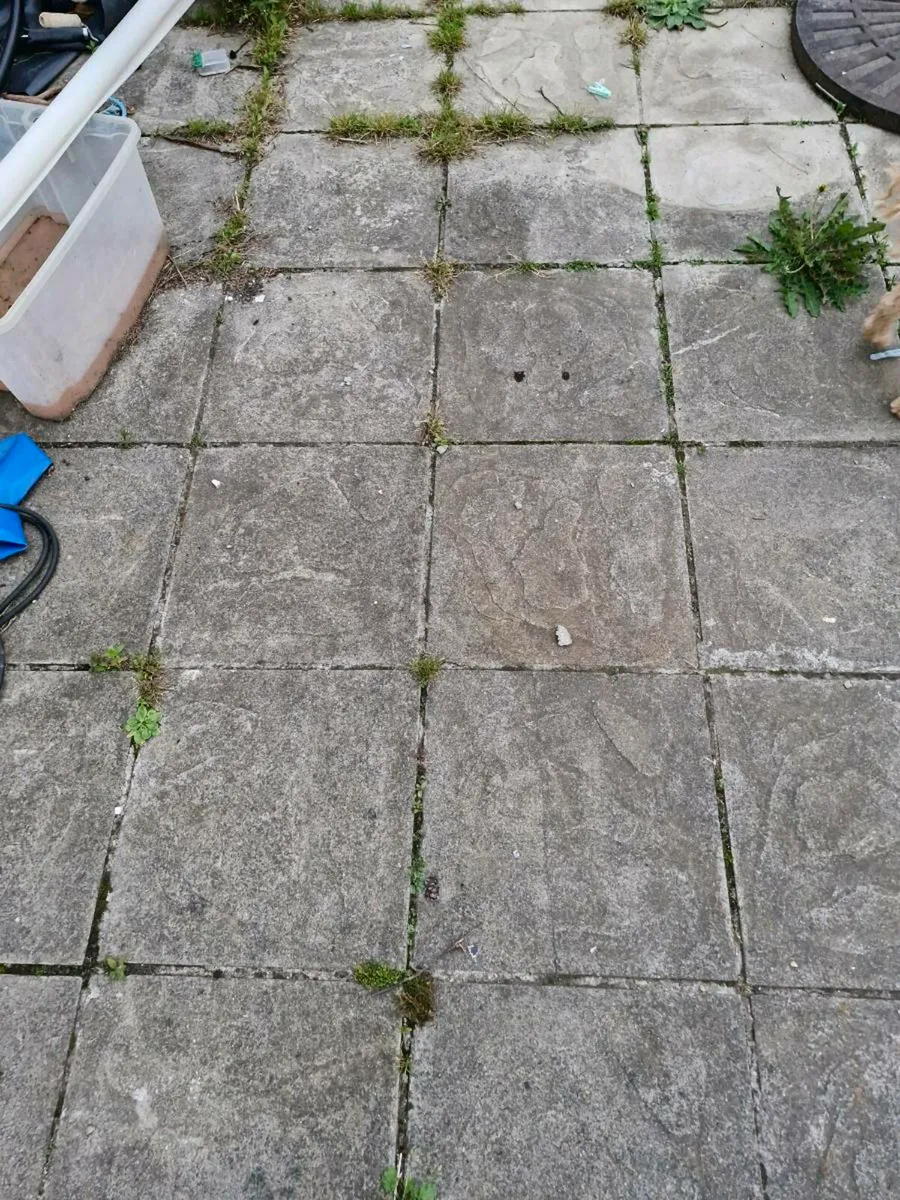 Paving slabs - Image 1